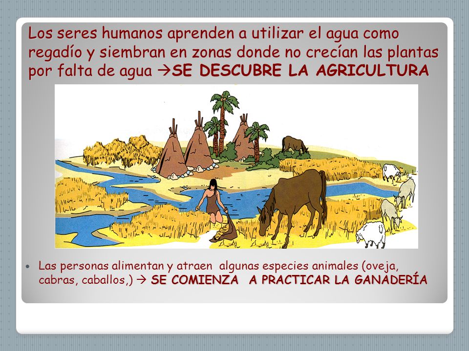 La desaparición de los tiempos sobre la persona el precio